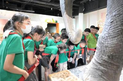 揭秘自然來信，共建綠色家園 | 青少年科學(xué)講壇引領(lǐng)自然探索新風(fēng)尚